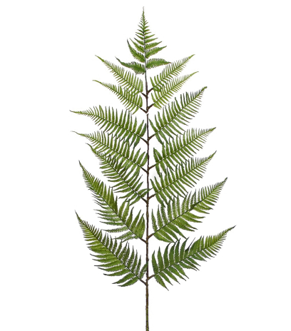 Feuille de fougère géante artificielle