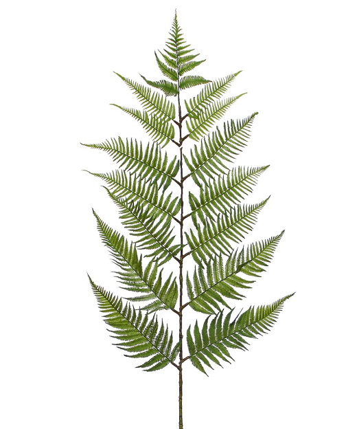 Feuille de fougère géante artificielle