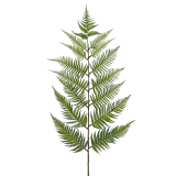 Feuille de fougère géante artificielle
