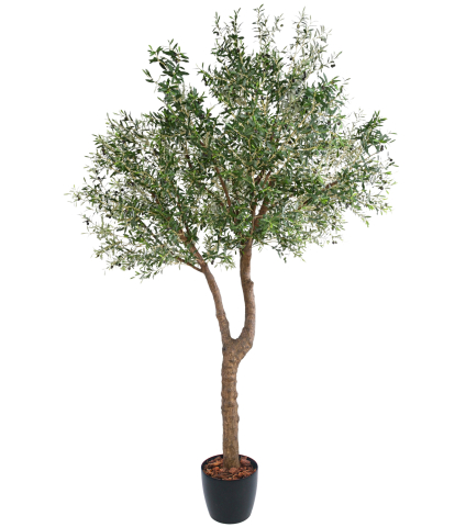 Olivier artificiel à double tronc