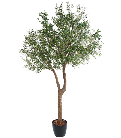 Olivier artificiel à double tronc