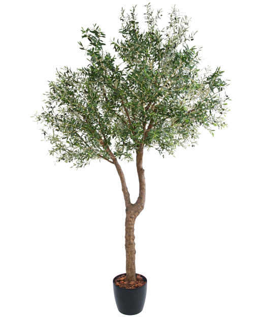 Olivier artificiel à double tronc