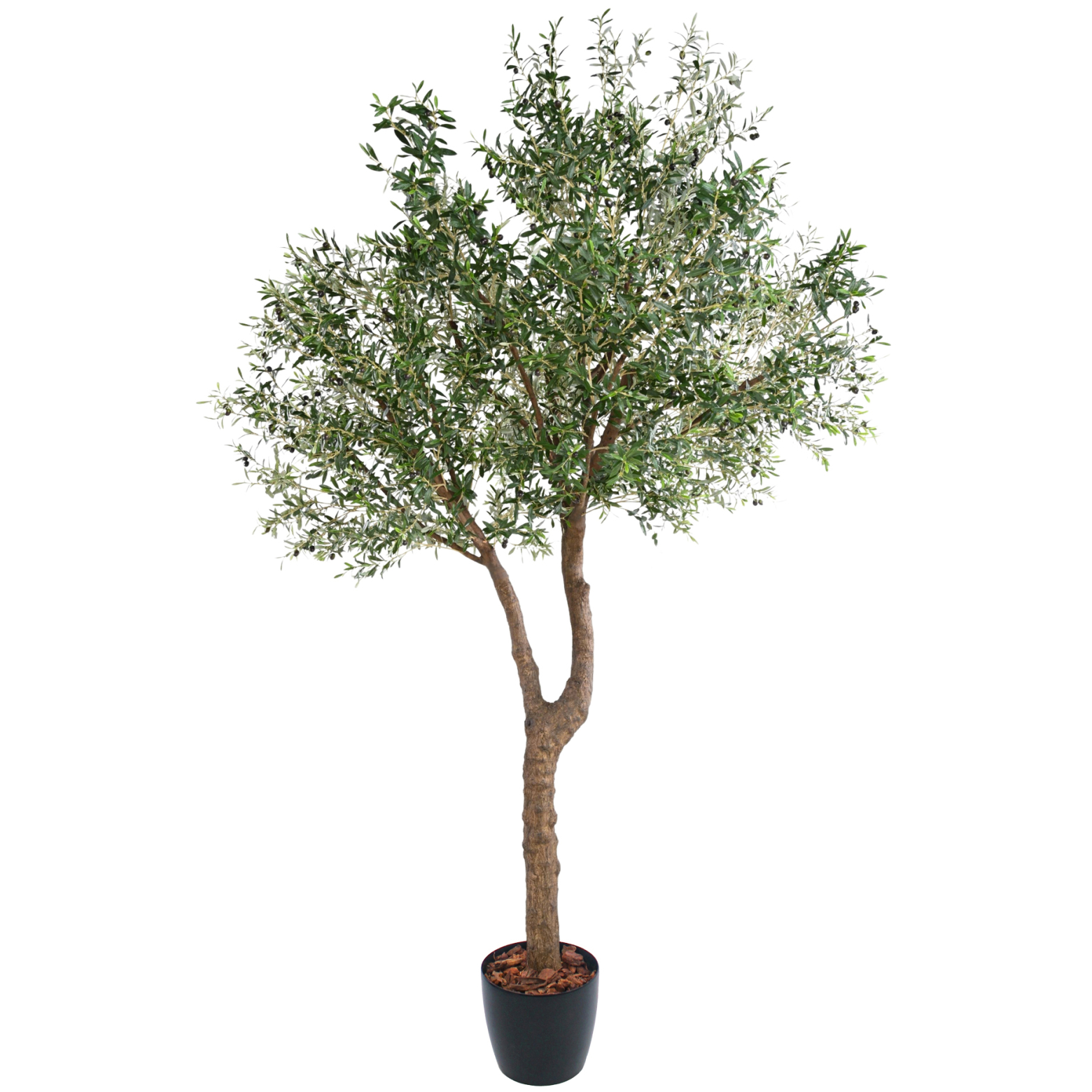 Olivier artificiel à double tronc