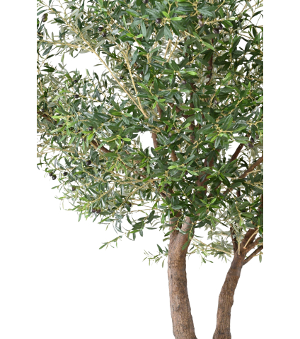 Olivier artificiel à double tronc