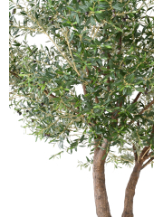 Olivier artificiel à double tronc