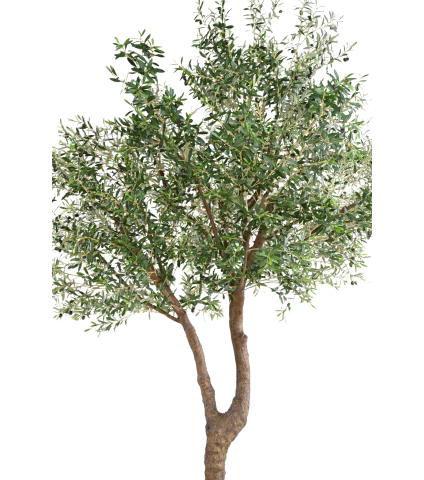 Olivier artificiel à double tronc