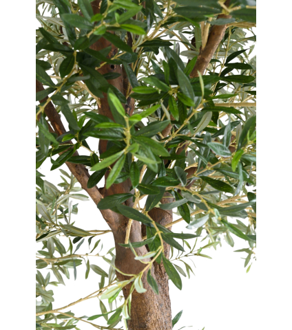 Olivier artificiel à double tronc