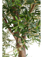 Olivier artificiel à double tronc