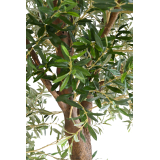 Olivier artificiel à double tronc