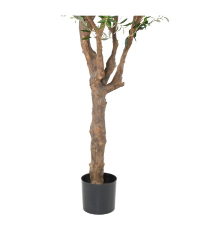 Pot