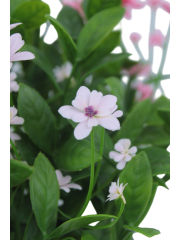 Helianthe artificielle rose