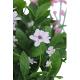 Helianthe artificielle rose