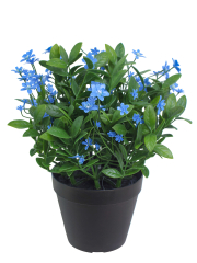 Helianthe artificielle bleue