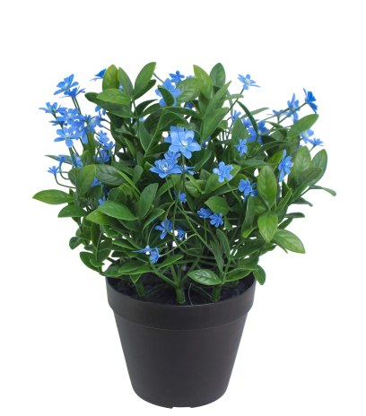 Helianthe artificielle bleue