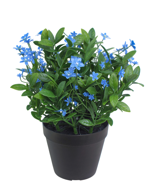 Helianthe artificielle bleue