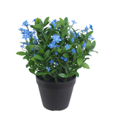 Helianthe artificielle bleue