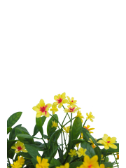 Hélianthe artificielle jaune