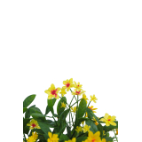 Hélianthe artificielle jaune