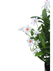 Helianthe artificielle blanche