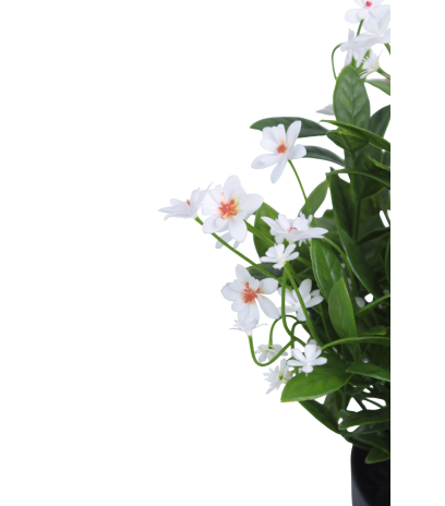 Helianthe artificielle blanche