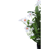 Helianthe artificielle blanche