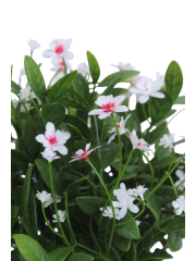 Helianthe artificielle blanche