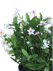 Helianthe artificielle blanche