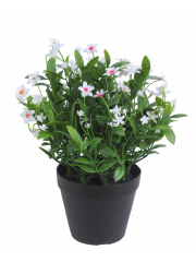 Helianthe artificielle blanche