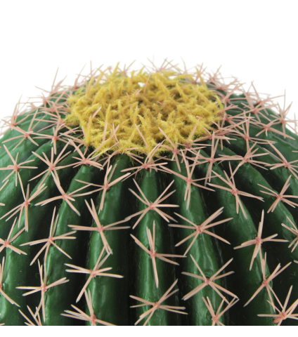 Échinocactus artificiel