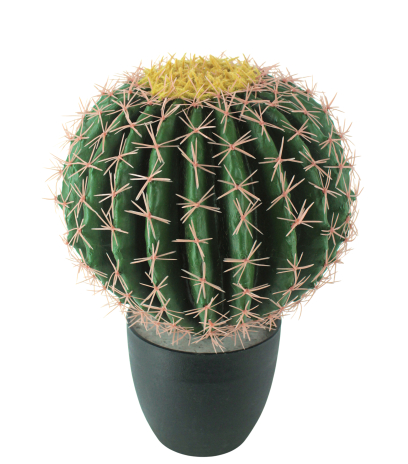 Échinocactus artificiel