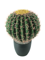 Échinocactus artificiel