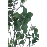 Branche de myrte artificielle