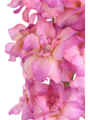 Delphinium artificiel rose