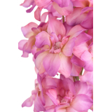 Delphinium artificiel rose