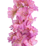 Delphinium artificiel rose