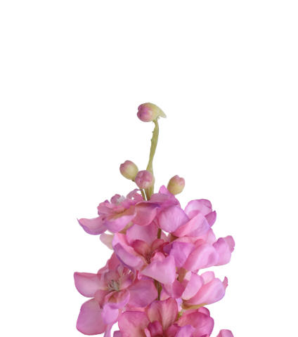 Delphinium artificiel rose
