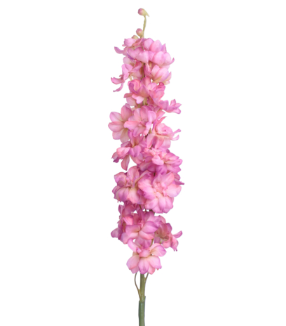 Delphinium artificiel rose