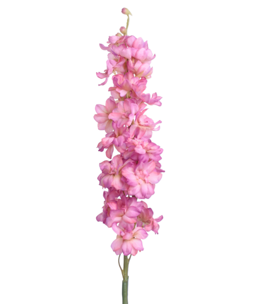 Delphinium artificiel rose