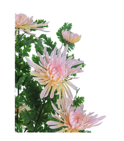 Grand chrysanthème en pot artificiel rose