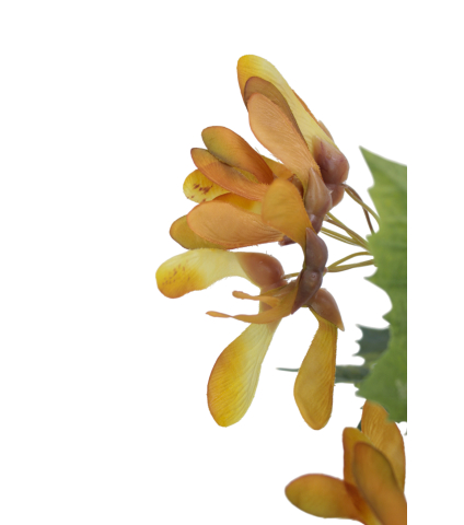 Branche d'érable artificielle avec fruits