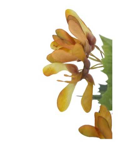 Branche d'érable artificielle avec fruits