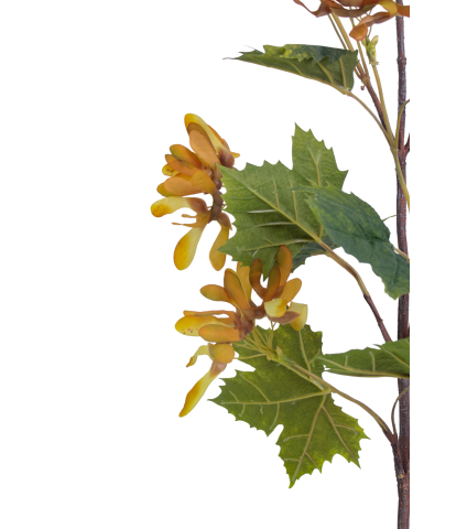 Branche d'érable artificielle avec fruits