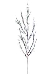 Branche de pin d'Alep artificielle