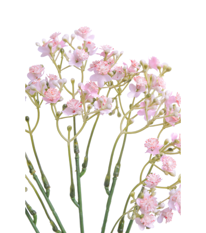 Myosotis artificiel rose