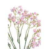 Myosotis artificiel rose