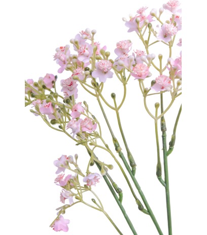Myosotis artificiel rose