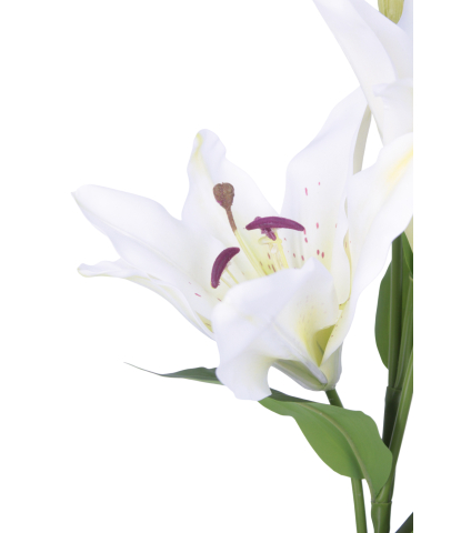 Lys artificiel blanc