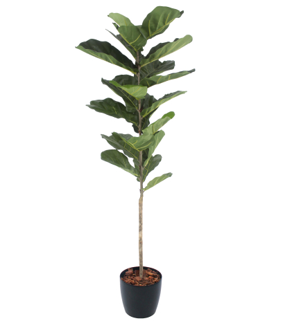 Jeune ficus lyrata artificiel