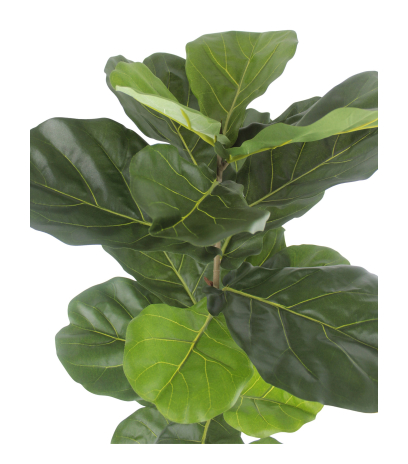 Jeune ficus lyrata artificiel