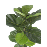 Jeune ficus lyrata artificiel